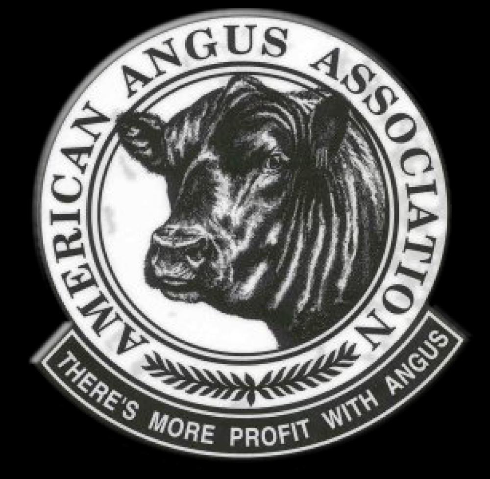 American Angus Association icon